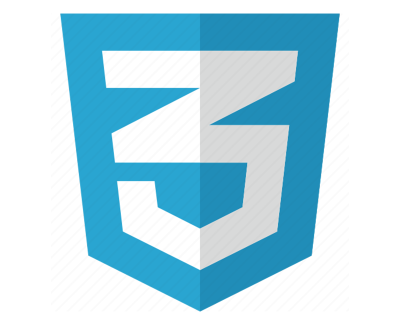 CSS logo